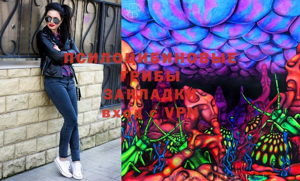 круглые Аркадак