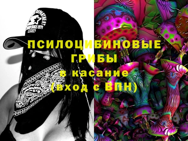 круглые Аркадак