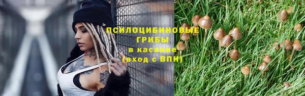 круглые Арсеньев